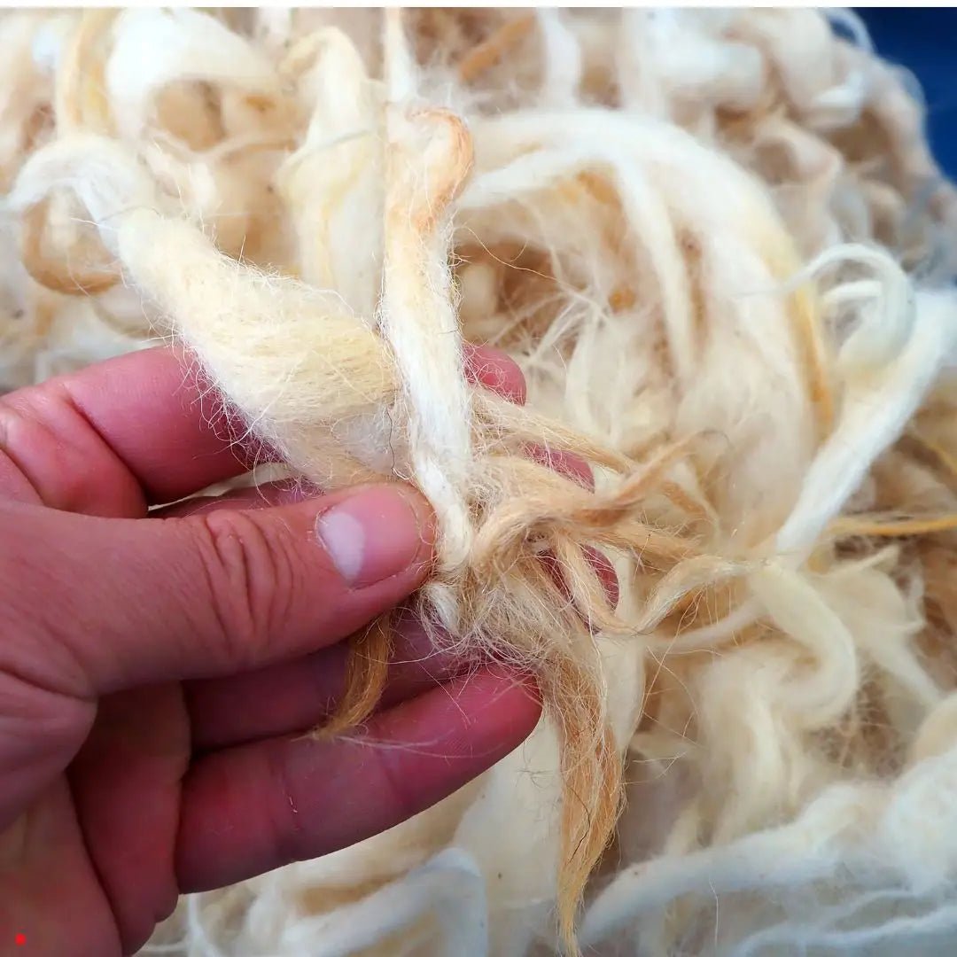 Villa kutittaa, mutta siihen konsteja.